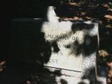 image of grave number 895334